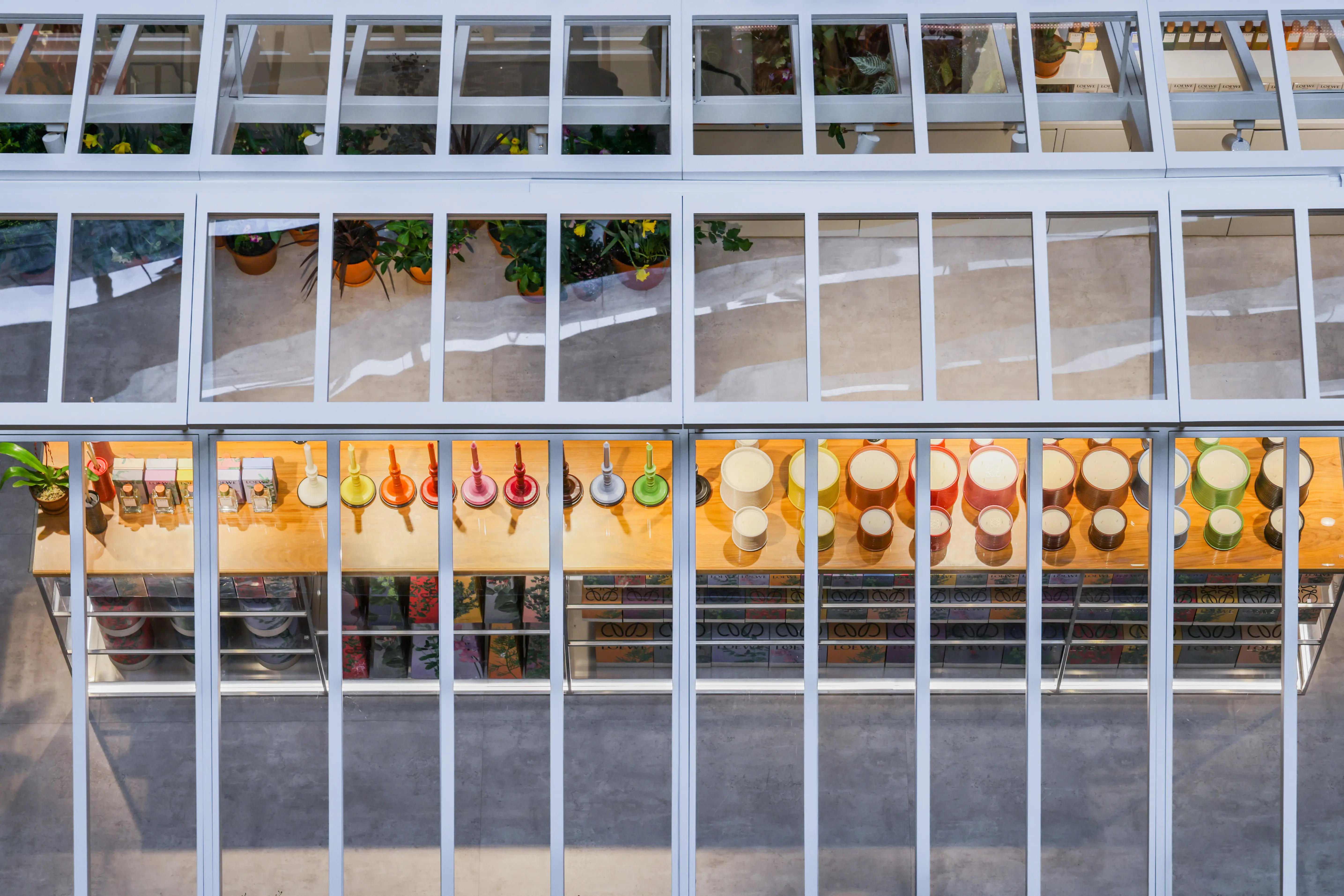 LOEWE Perfumes Greenhouse