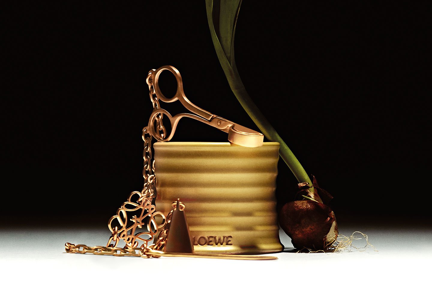 LOEWE Perfumes