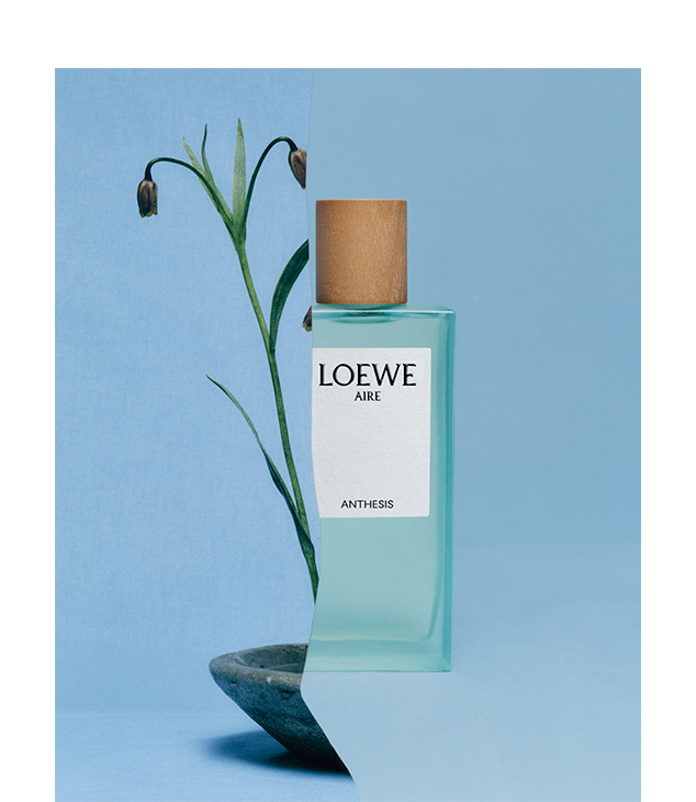 LOEWE Perfumes - Botanical Rainbow