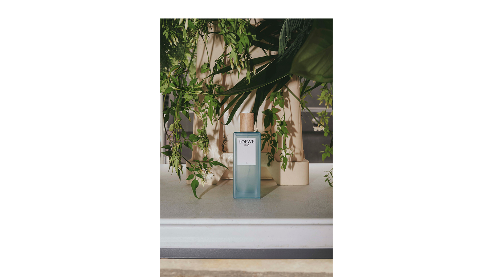 LOEWE Perfumes - Botanical Rainbow