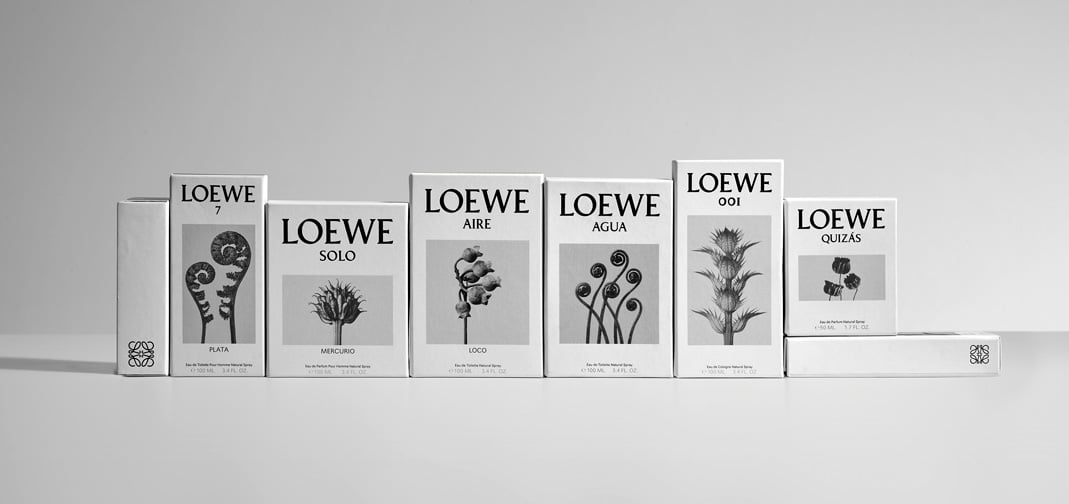 LOEWE_free_shipping