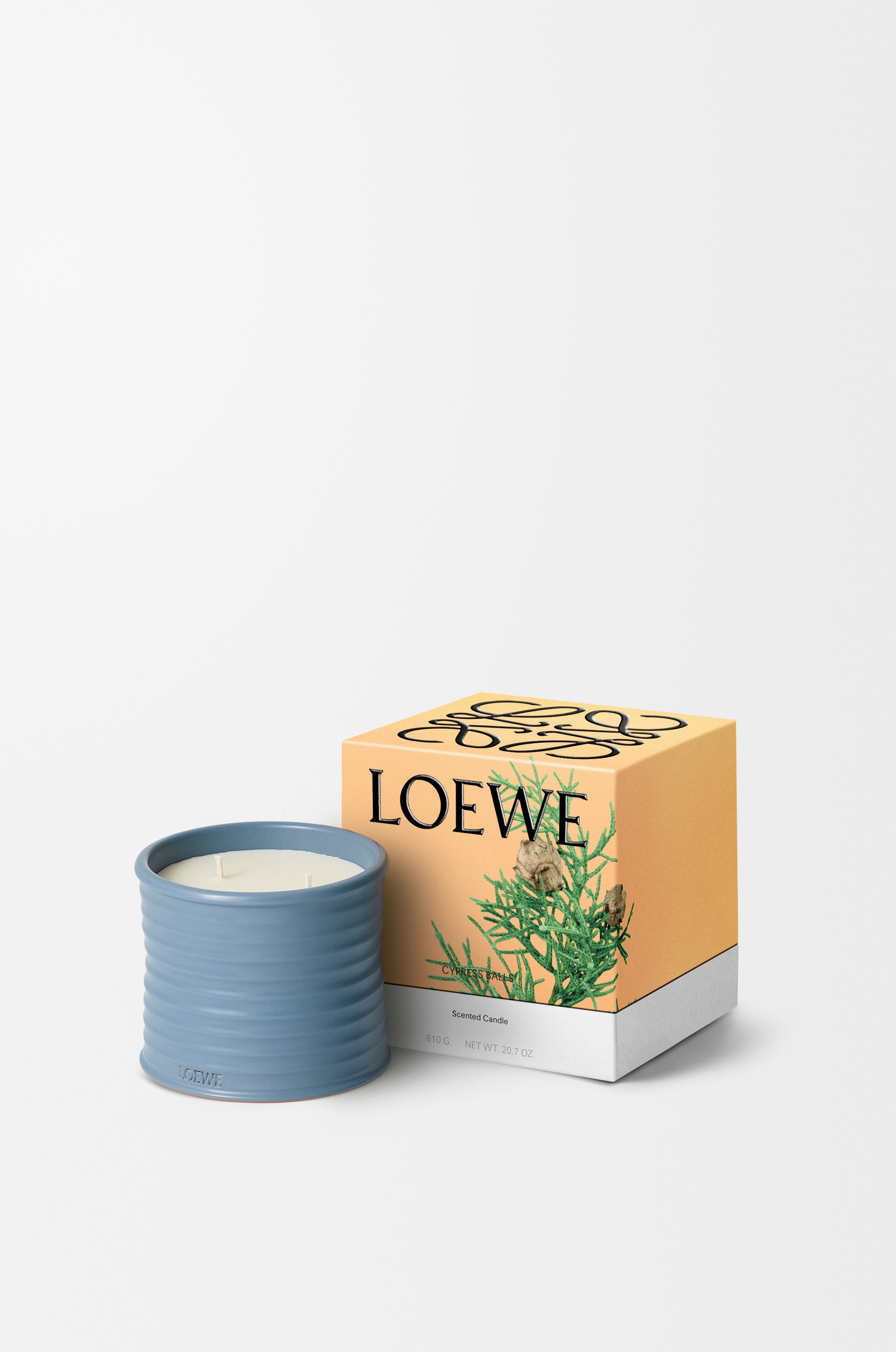 落羽松毬果蠟燭 5 of 8