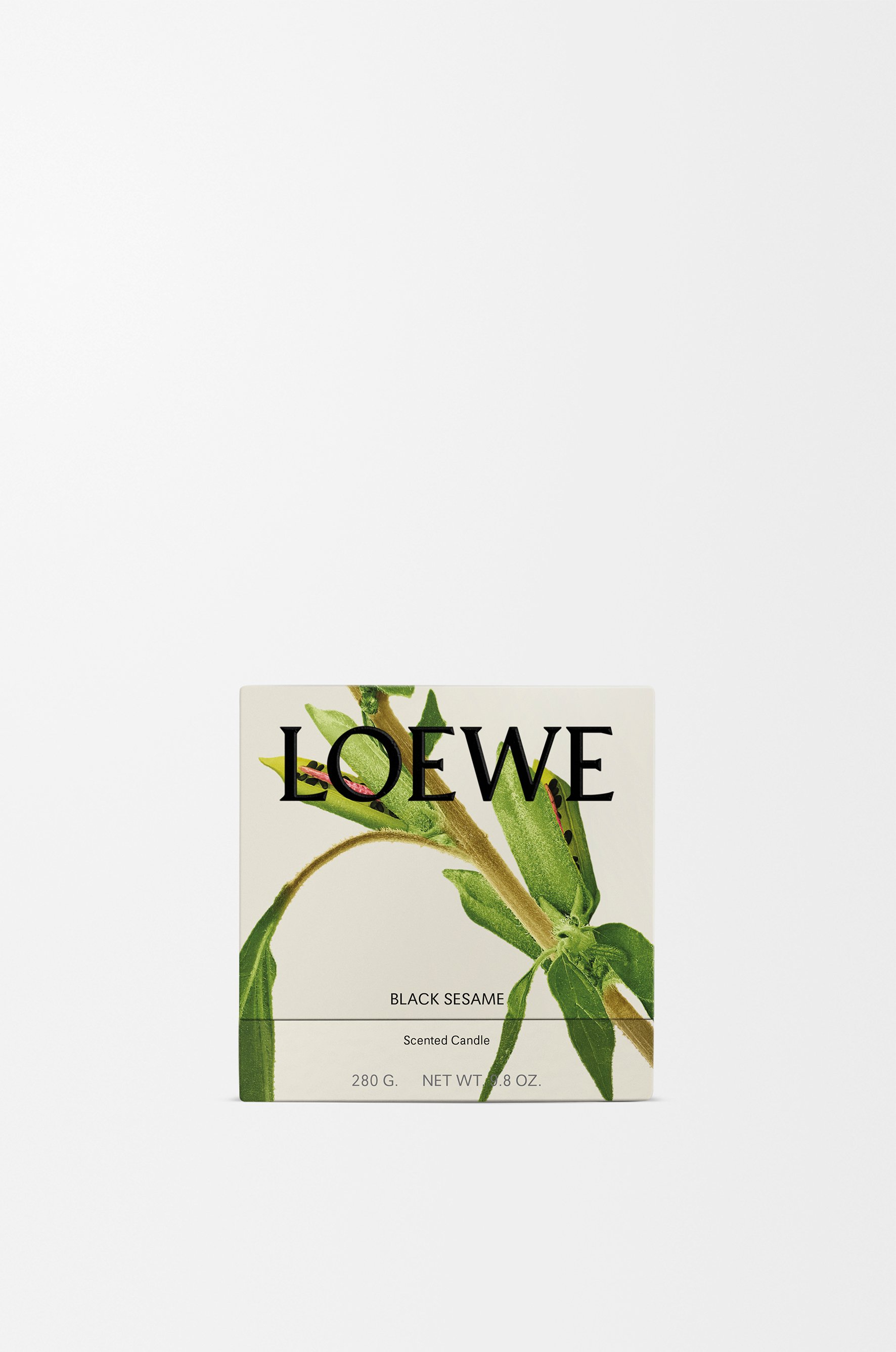 Black Sesame キャンドル ミディ 6 of 7