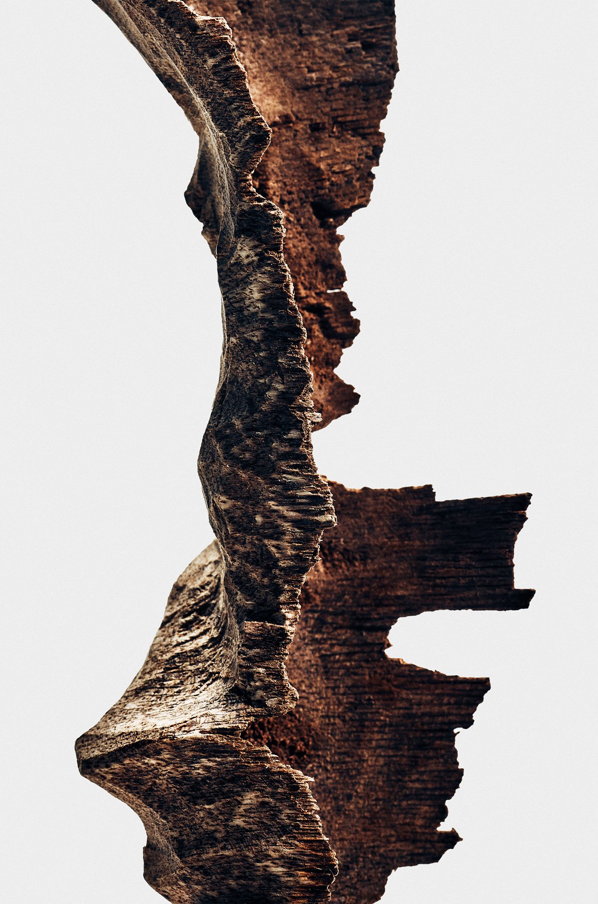 LOEWE Bittersweet Oud EDP 100ml 3 of 6