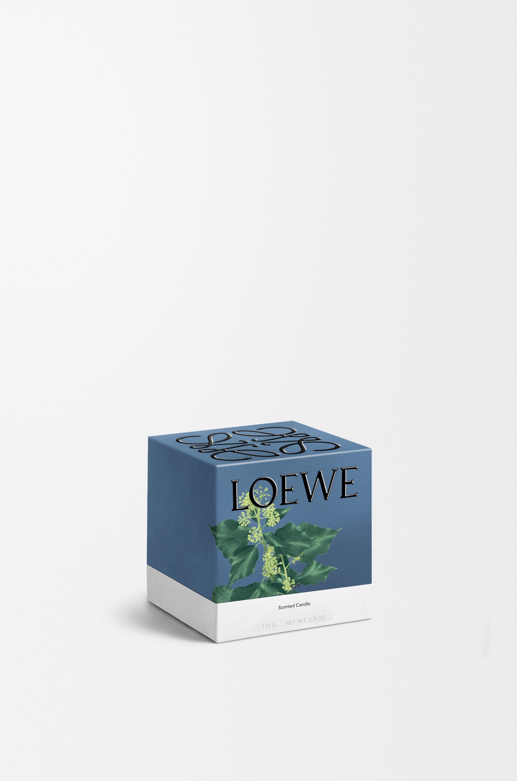 常春藤蠟燭 2 of 8