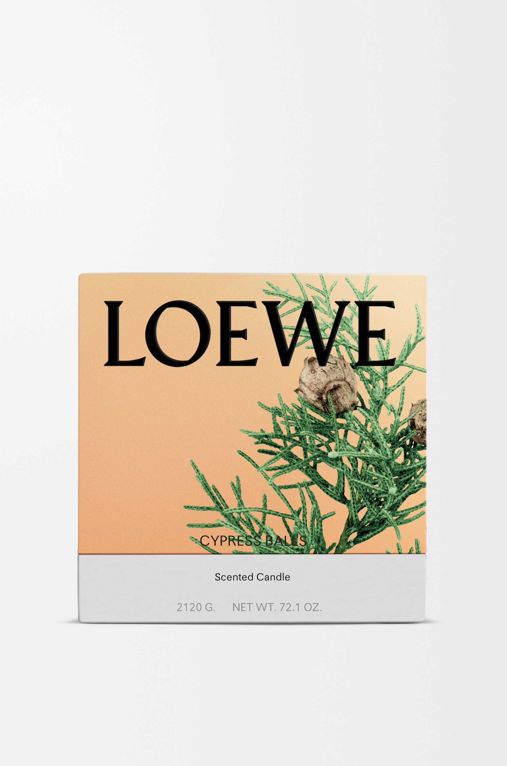 落羽松毬果蠟燭 6 of 8