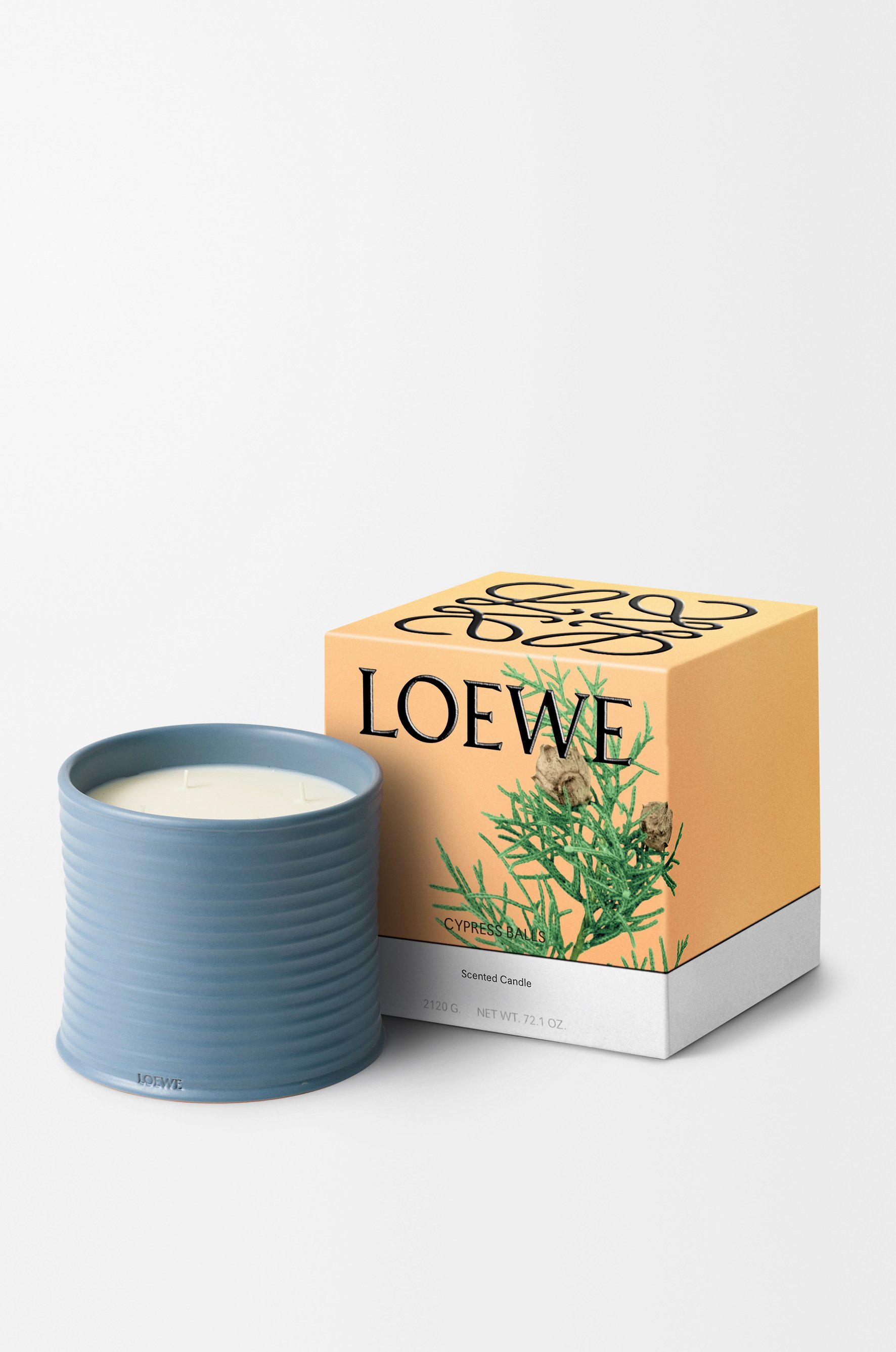 落羽松毬果蠟燭 5 of 8