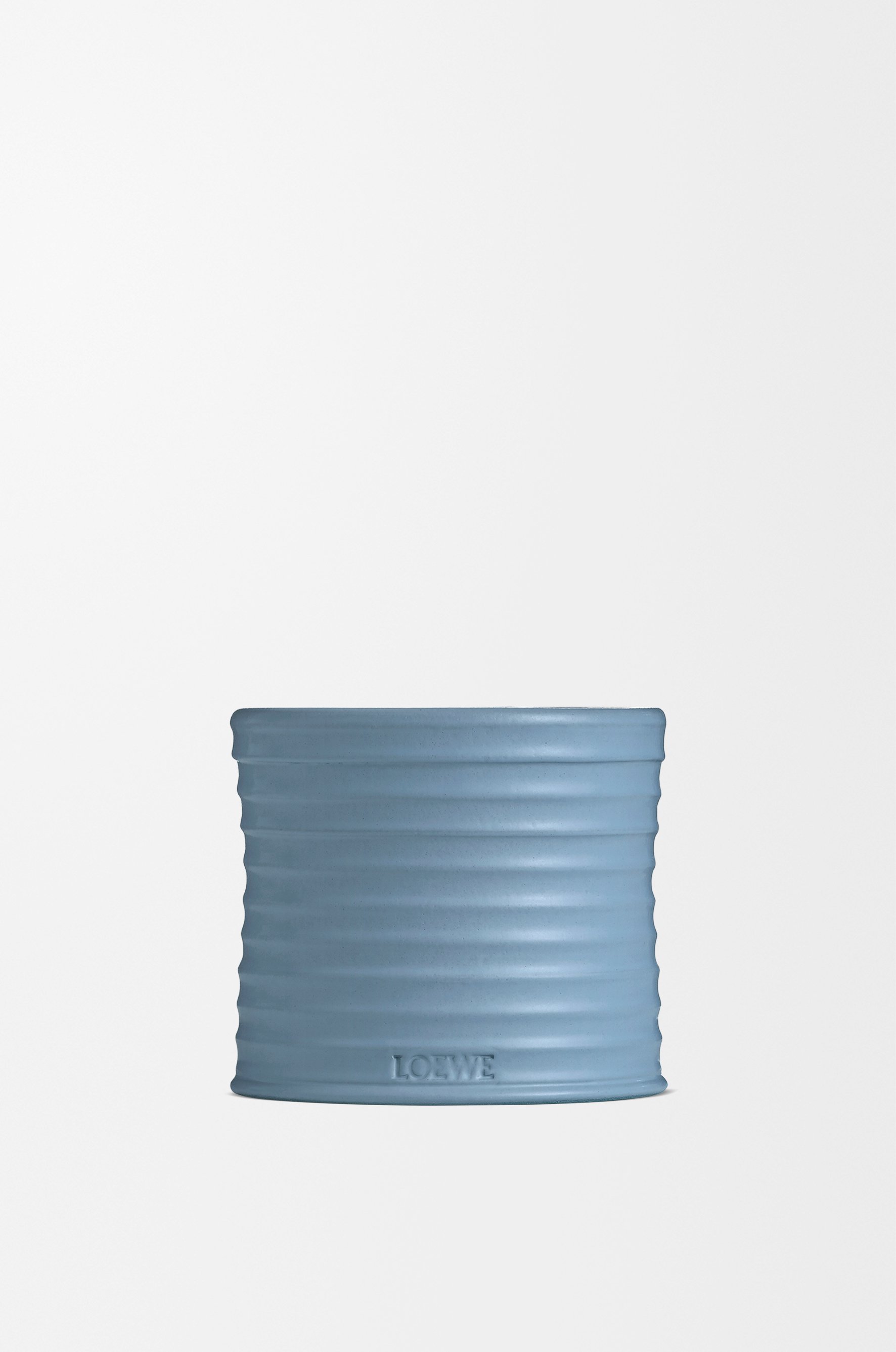 落羽松毬果蠟燭 7 of 8