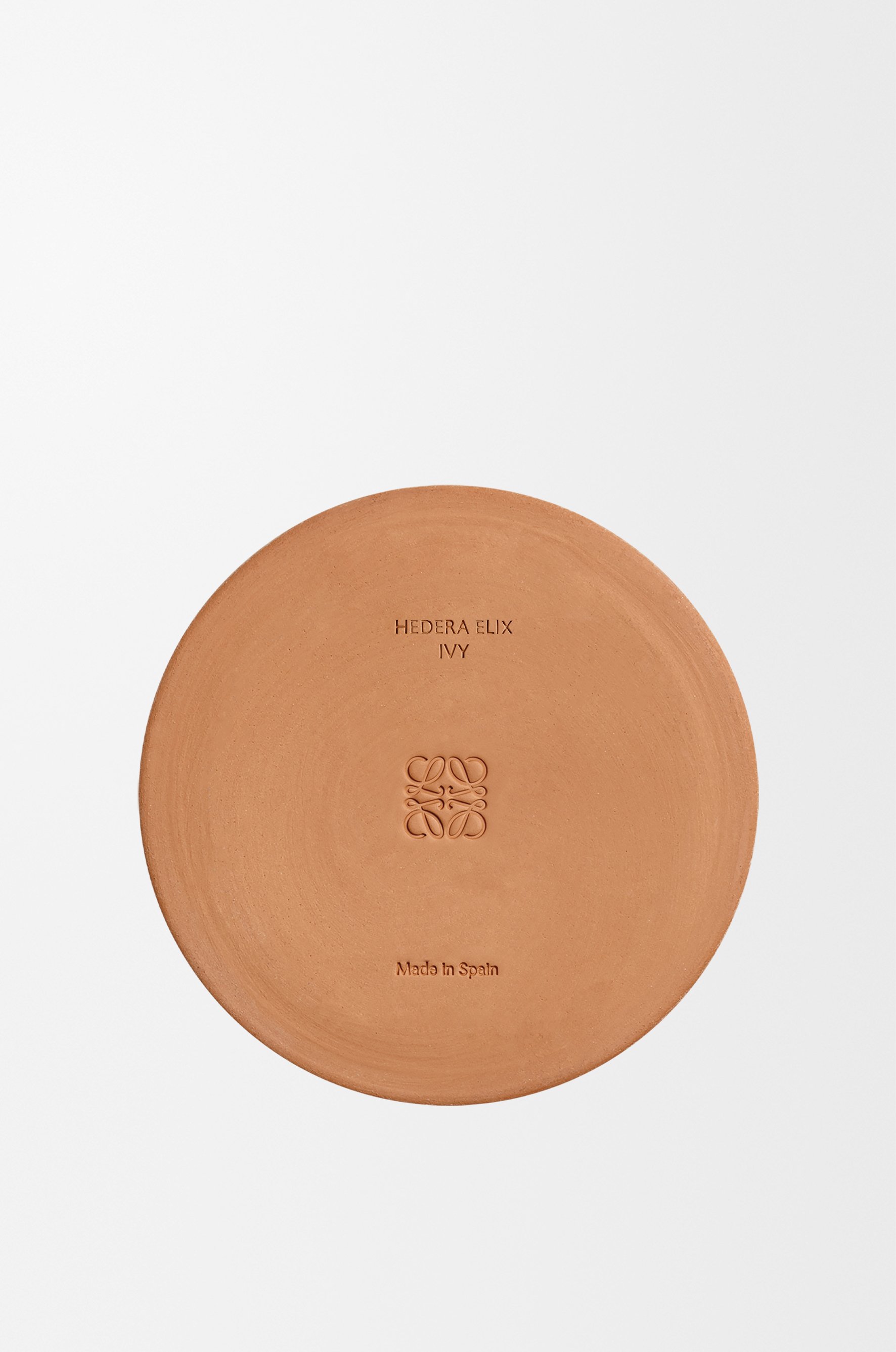 アイビーキャンドル 4 of 8