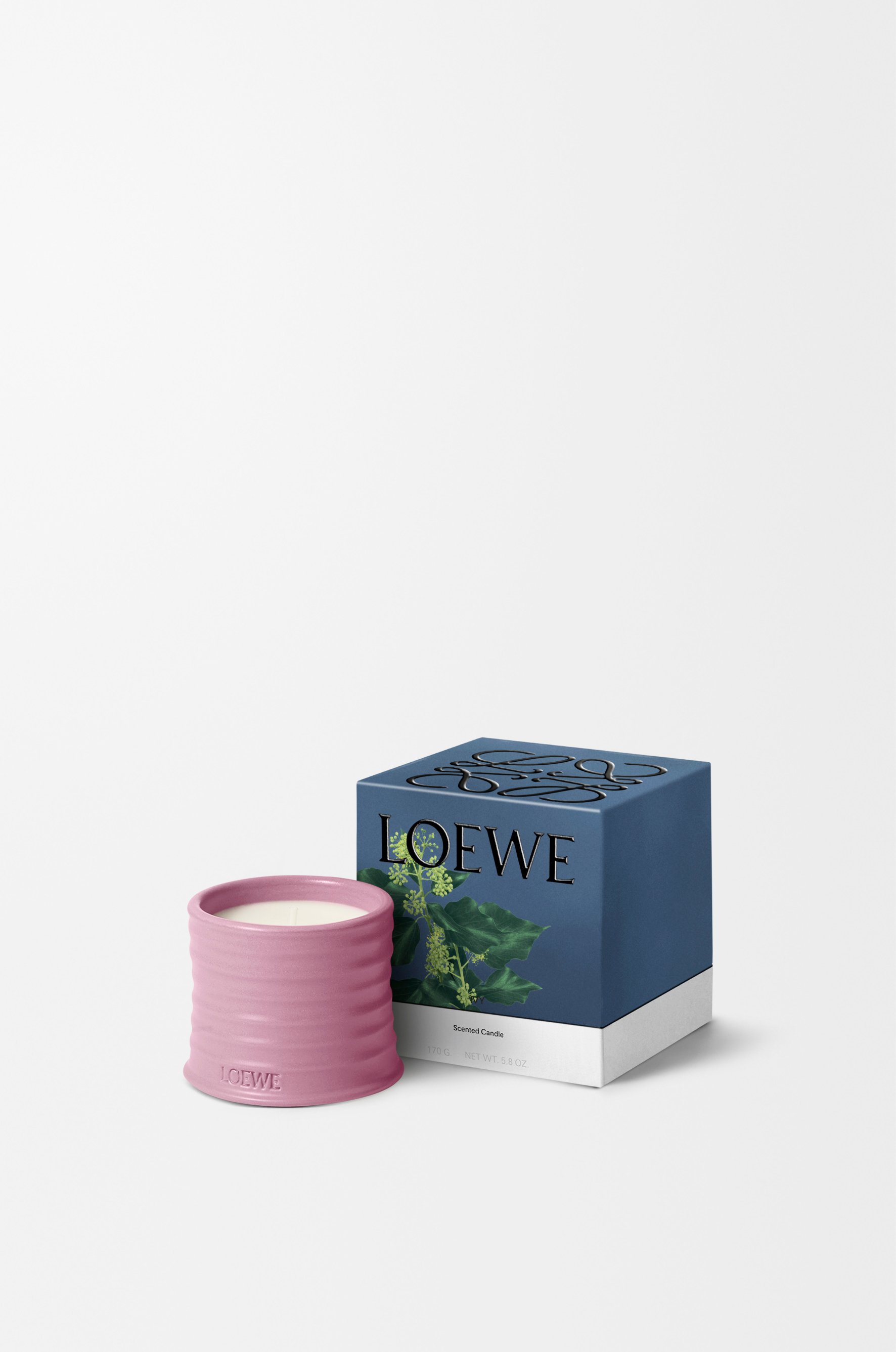 常春藤蠟燭 5 of 8