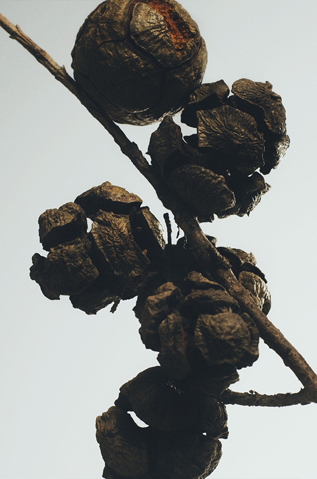 柏樹球香氛燭臺 3 of 7