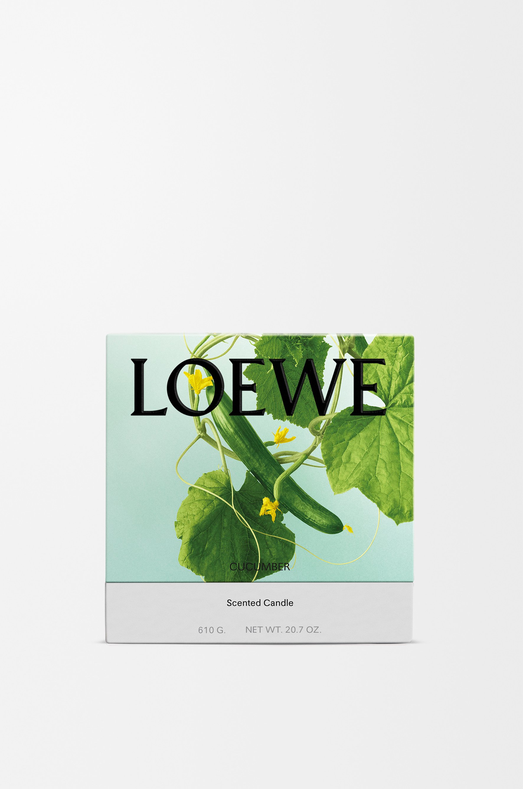 キュウリのキャンドル 6 of 8