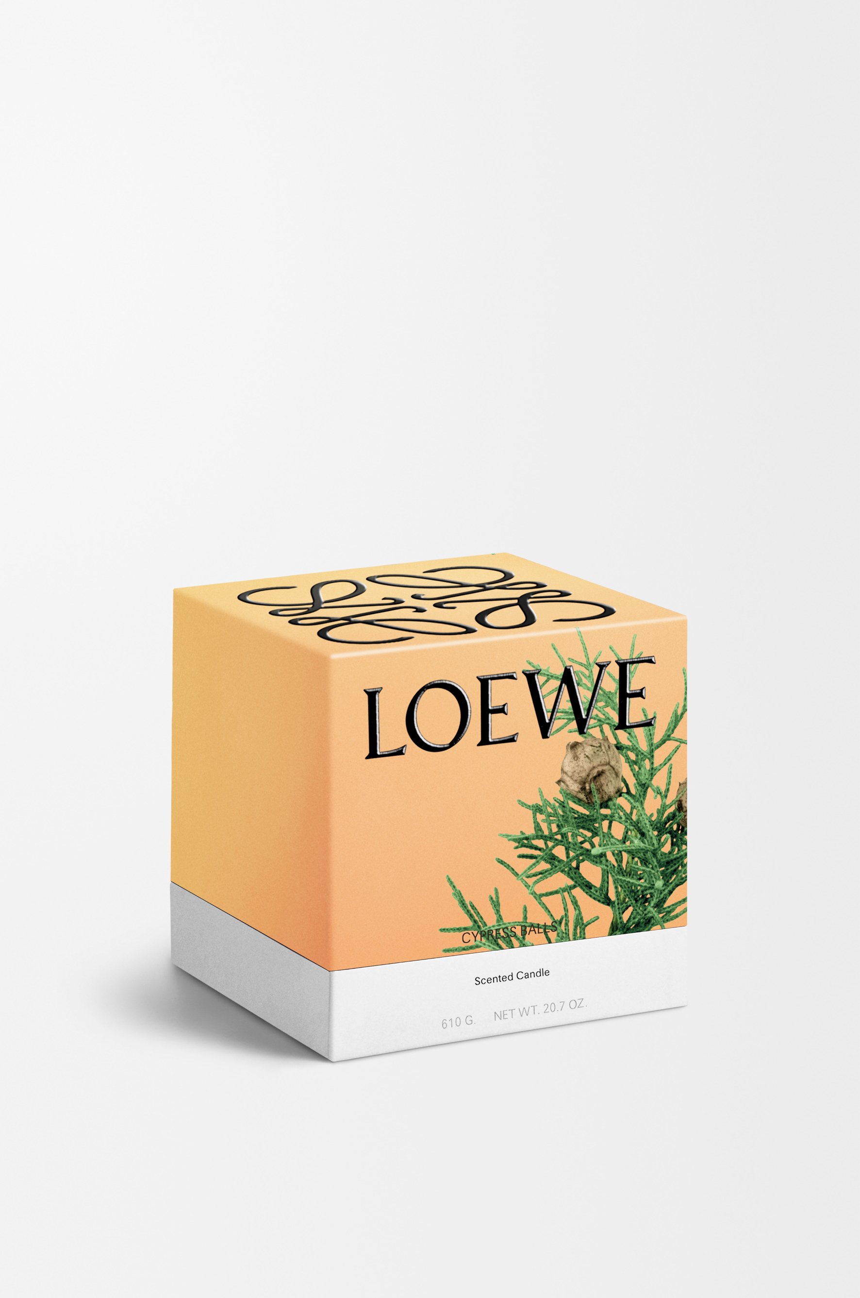 落羽松毬果蠟燭 2 of 8