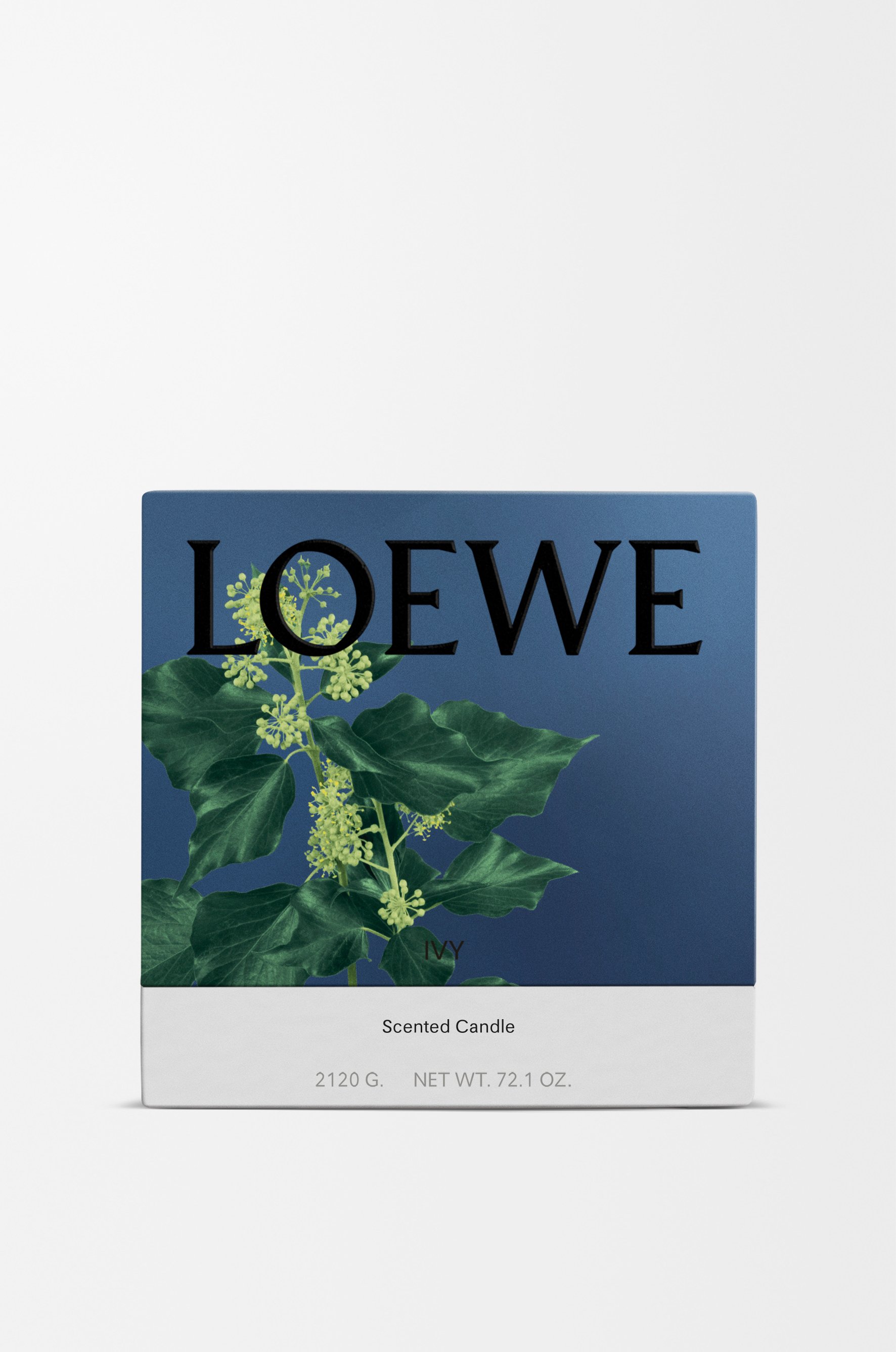 アイビーキャンドル 6 of 8