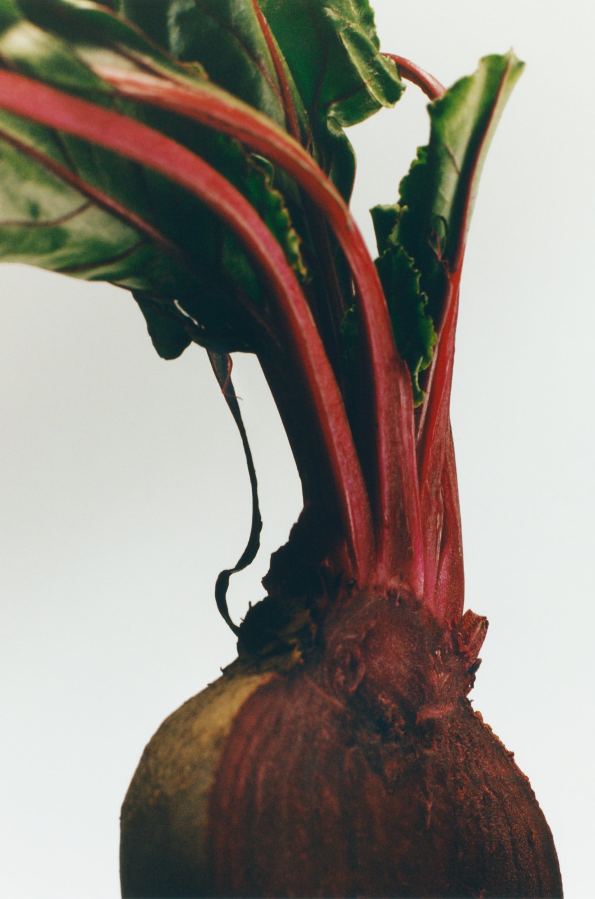 Small Beetroot Candle 3 of 8