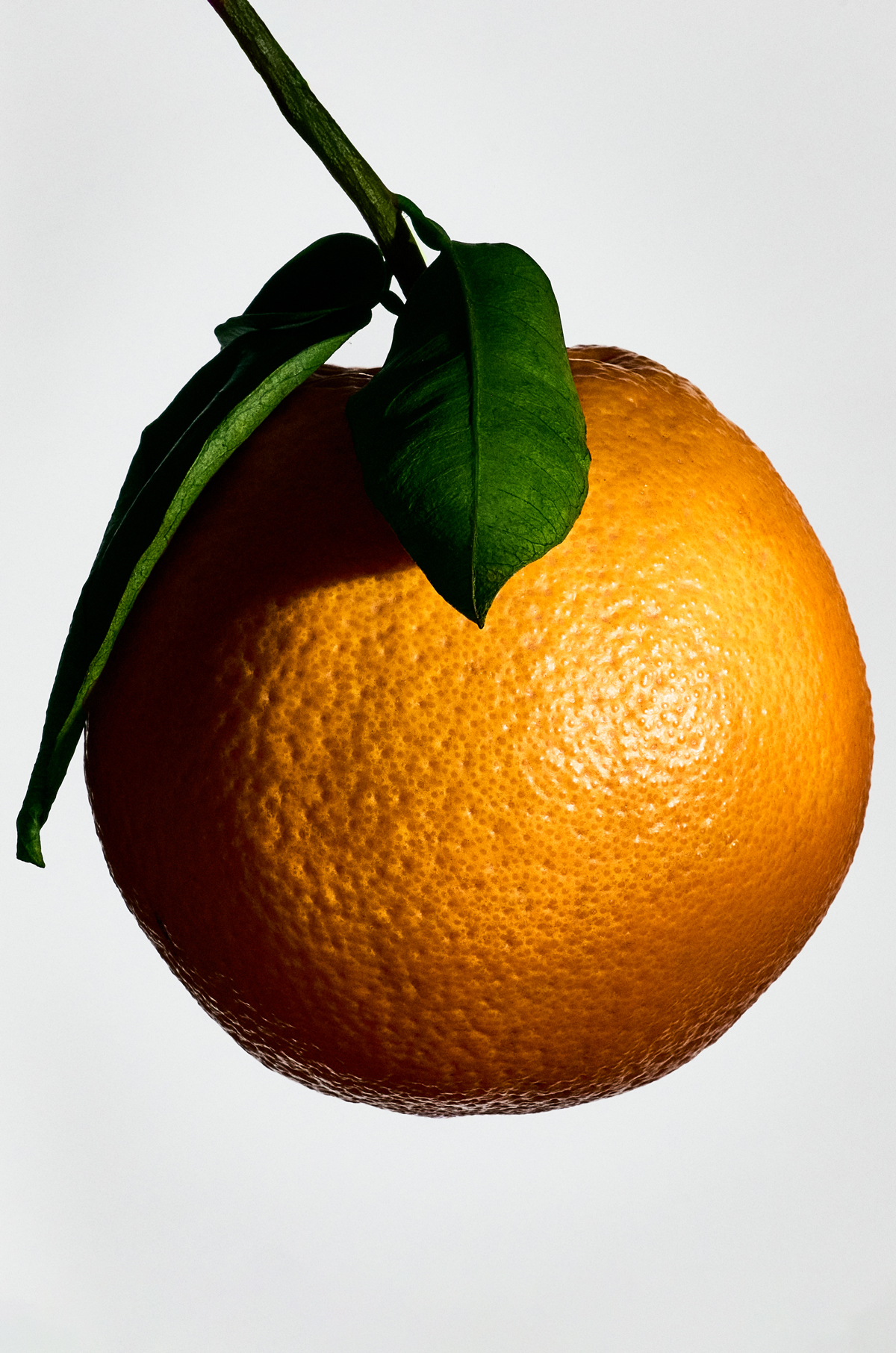 Medium Orange Blossom Candle 3 of 8