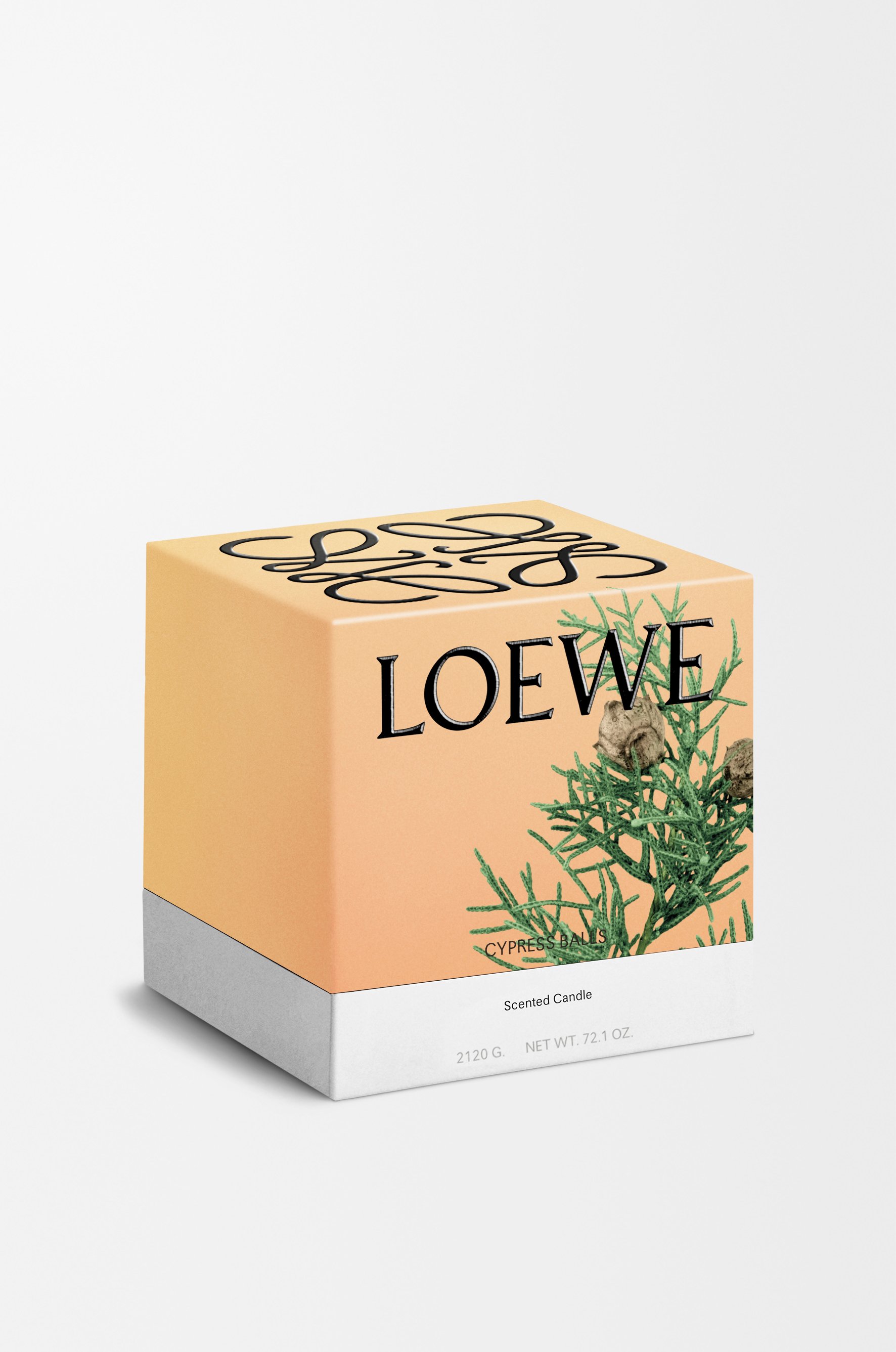 落羽松毬果蠟燭 2 of 8