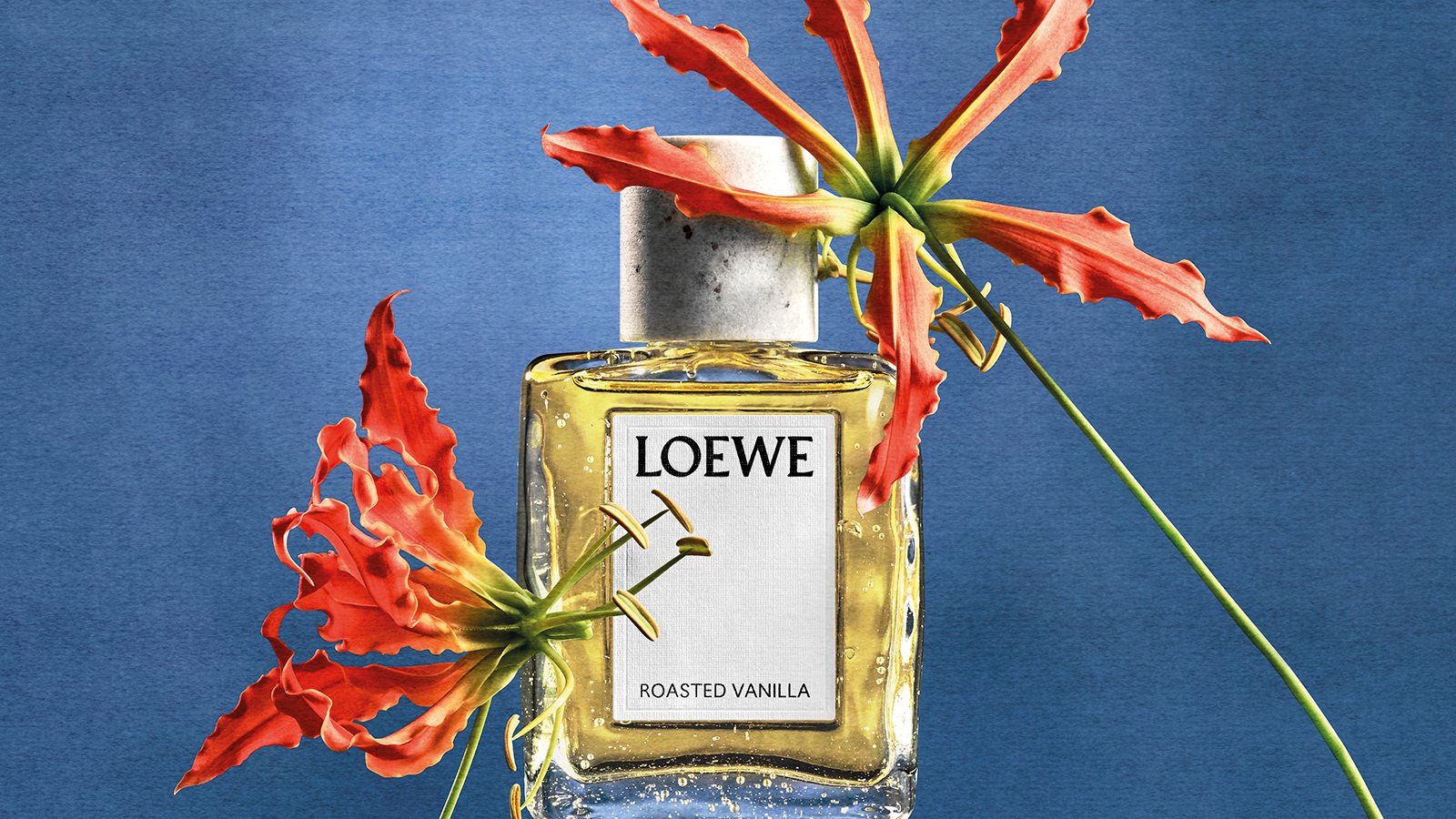 Artesan&iacute;a y conexi&oacute;n