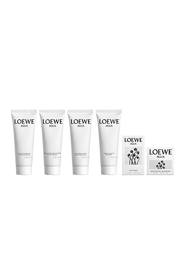 loewe products