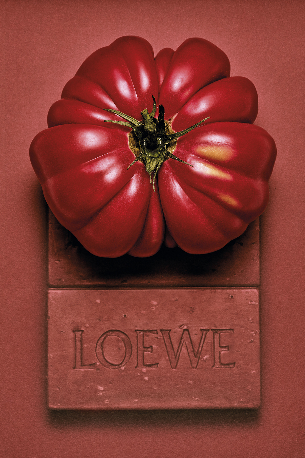 Tomato Leaves Liquid Soap | LOEWE Perfumes