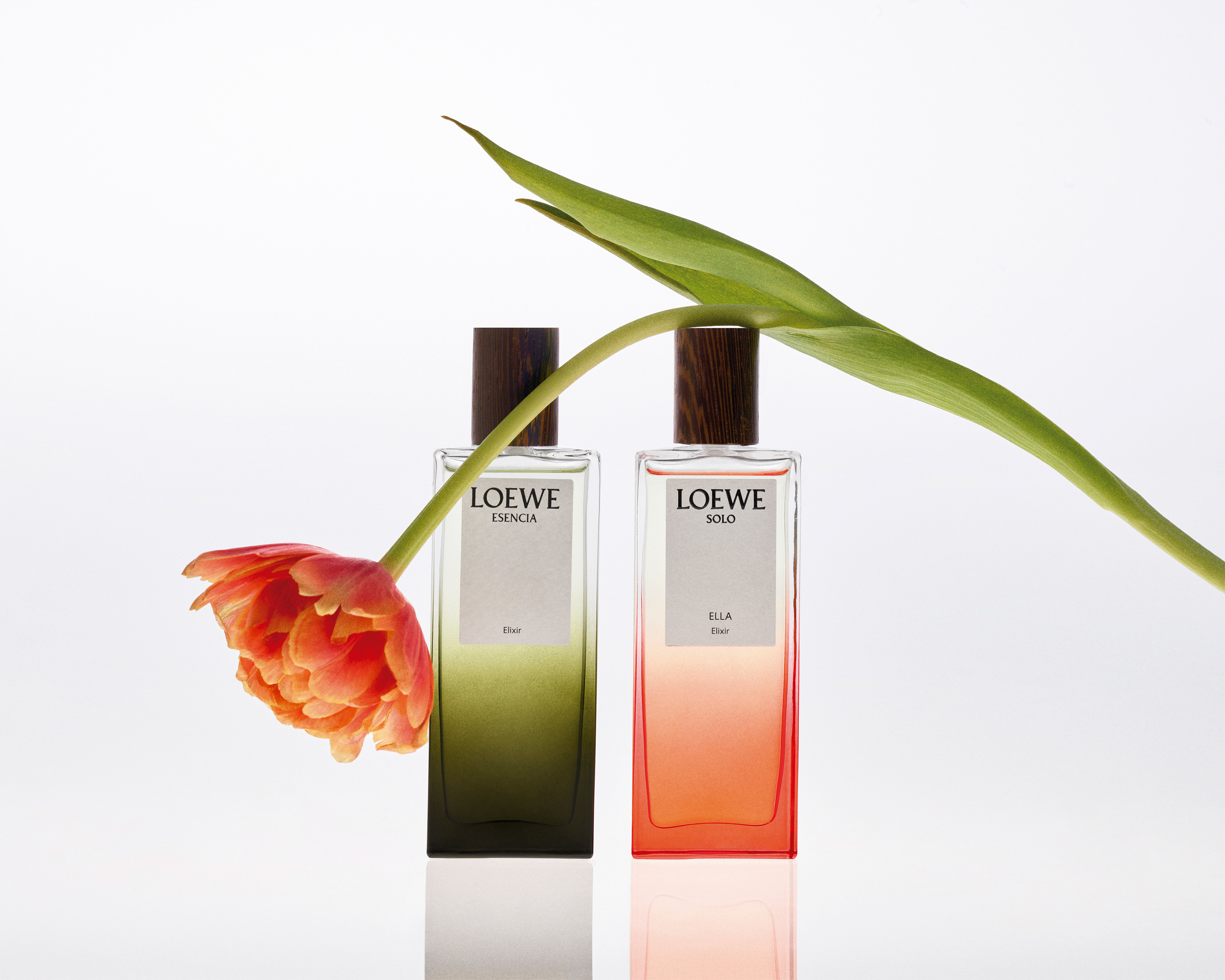 LOEWE Elixirs